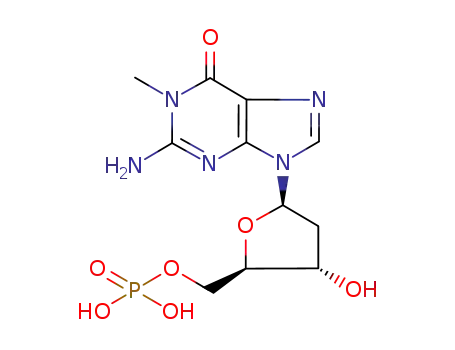 1-methyldeoxyguanosine 5'-phosphate