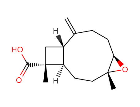(1R,4R,5R,9S,11R)-4,5-epoxy-caryophyll-8(14)-en-12-oic acid
