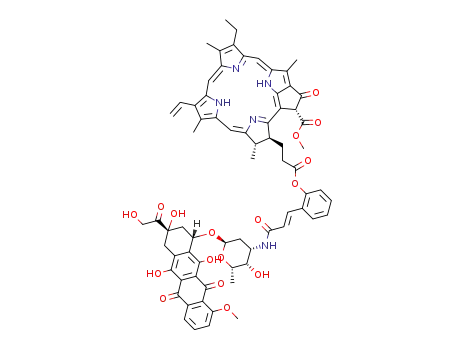 pheophorbide-α-2-hydroxycinnamic acid-doxorubicin