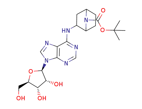 N6-(endo-7-tert-butoxycarbonyl-7-azabiclo[2.2.1]heptan-2-yl)adenosine