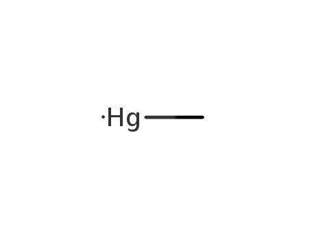 Methyl mercury