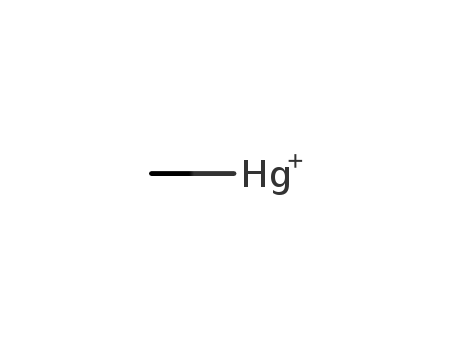 Methyl Mercury Standard,methyl Mercury Ion