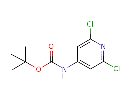 Molecular Structure of 501907-61-5 (Carbamic acid, (2,6-dichloro-4-pyridinyl)-, 1,1-dimethylethyl ester (9CI))