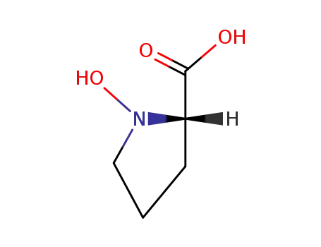 Molecular Structure of 18610-59-8 (N-Hydroxy-L-proline)
