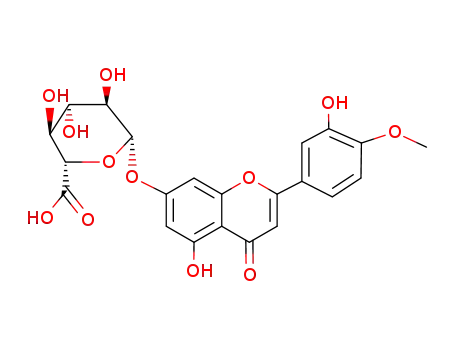 diosmentin-7-O-β-D-glucuronopyranoside