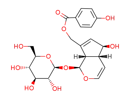 ((1S,4aR,5S,7aS)-5-hydroxy-1-(((2S,3R,4S,5S,6R)-3,4,5-trihydroxy-6-(hydroxymethyl)tetrahydro-2H-pyran-2-yl)oxy)-1,4a,5,7a-tetrahydrocyclopenta[c]pyran-7-yl)methyl 4-hydroxybenzoate
