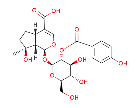 Molecular Structure of 82451-20-5 (2′-p-Hydroxybenzoyl mussaenosidic acid)