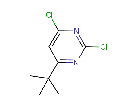 Molecular Structure of 1037535-38-8 (4-tert-butyl-2,6-dichloropyriMidine)