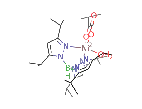 Ni(3-methyl-2-oxobutyrate)(hydrotris(3,5-diisopropyl-1-pyrazolyl)borate)(H2O)