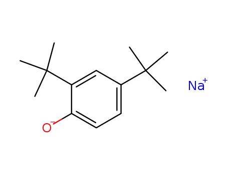 Molecular Structure of 75376-45-3 (sodium 2,4-di-tert-butylphenolate)