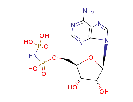 5'-imidodiphosphate-Adenosine