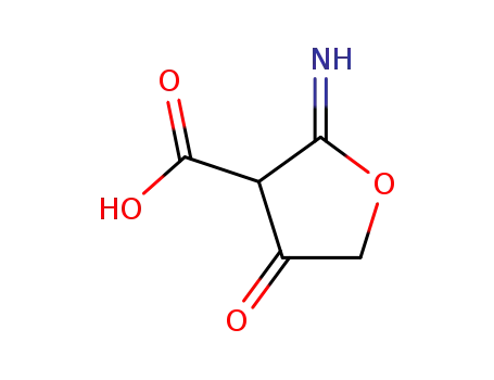 2-imino-4-oxo-tetrahydro-furan-3-carboxylic acid