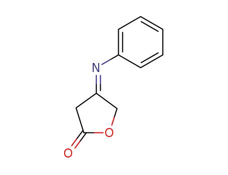 4-hydroxy-3-phenylimino-butyric acid-lactone