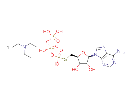 5'-deoxy-5'-thioadenosine-5'-triphosphate