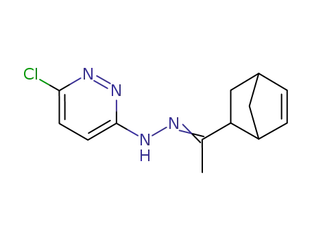 Molecular Structure of 69579-30-2 (3(2H)-Pyridazinone, 6-chloro-,(1-bicyclo[2.2.1]hept-5-en-2-ylethylidene)hydrazone)