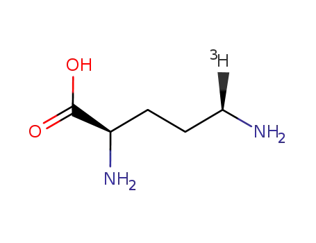 (2RS,5RS)-<5-(3)H>Ornithine