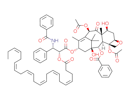 [3H]-Docosahexaenoic acid-Paclitaxel