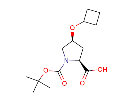 (1-tert-butoxycarbonyl-(4S)-cyclobutoxy-(2S)-pyrrolidinyl)carboxylic acid
