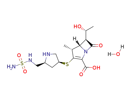 Molecular Structure of 364622-82-2 (Doripenem hydrate)