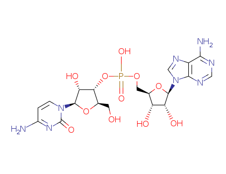 Adenylyl-3'-5'-cytidine