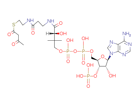 Coenzyme A,S-(3-oxobutanoate)