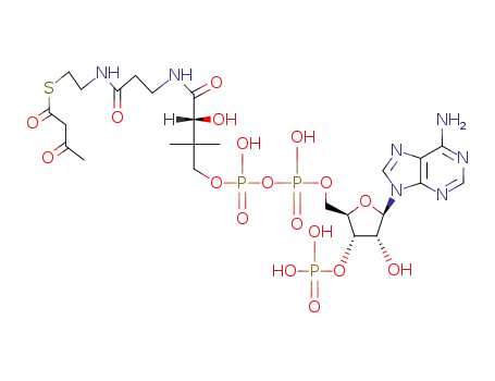 Molecular Structure of 1420-36-6 (S-acetoacetylcoenzyme A)