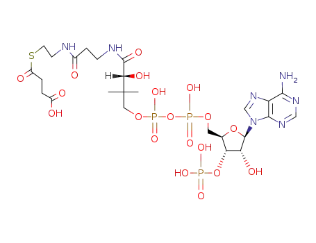 Molecular Structure of 604-98-8 (S-(hydrogen succinyl)coenzyme A)