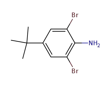 Molecular Structure of 10546-67-5 (2,6-Dibromo-4-tert-butylaniline)