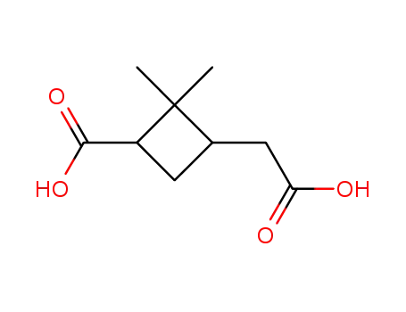 Cyclobutaneacetic acid,3-carboxy-2,2-dimethyl- cas  28664-02-0