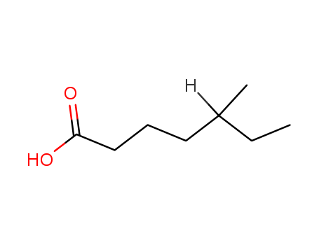 5-METHYLHEPTANOIC ACID