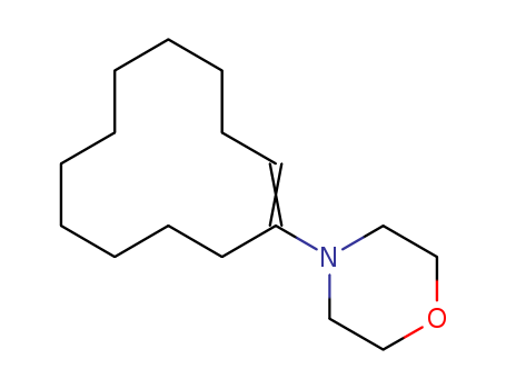 1-Morpholinocyclododecene