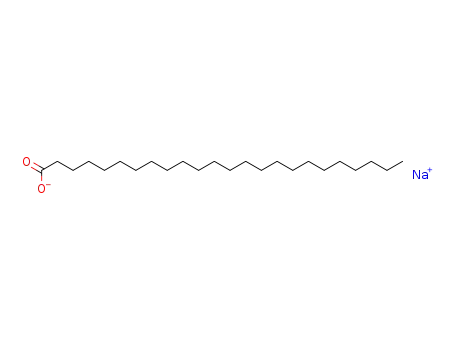 Molecular Structure of 18080-73-4 (sodium tetracosanoate)