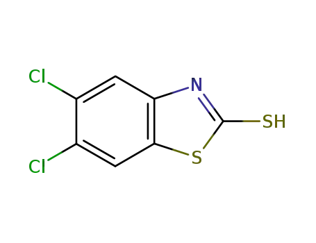 Molecular Structure of 80087-69-0 (2(3H)-Benzothiazolethione, 5,6-dichloro-)