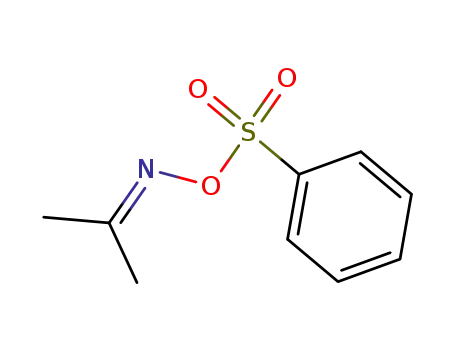 Molecular Structure of 39083-10-8 (2-Propanone, O-(phenylsulfonyl)oxime)