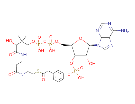 [(2R,3S,4R,5R)-5-(6-aminopurin-9-yl)-4-hydroxy-2-[[hydroxy-[hydroxy-[3-hydroxy-2,2-dimethyl-3-[2-[2-(2-phenylacetyl)sulfanylethylcarbamoyl]ethylcarbamoyl]propoxy]phosphoryl]oxy-phosphoryl]oxymethyl]ox