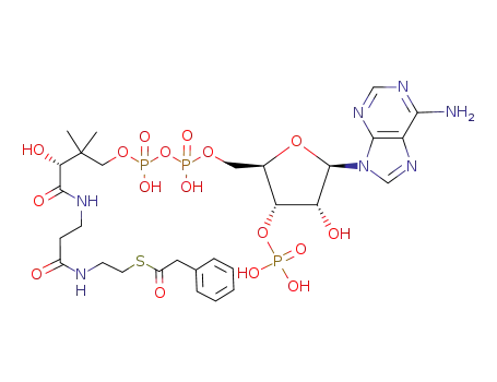 Molecular Structure of 7532-39-0 ([(2R,3S,4R,5R)-5-(6-aminopurin-9-yl)-4-hydroxy-2-[[hydroxy-[hydroxy-[3-hydroxy-2,2-dimethyl-3-[2-[2-(2-phenylacetyl)sulfanylethylcarbamoyl]ethylcarbamoyl]propoxy]phosphoryl]oxy-phosphoryl]oxymethyl]oxolan-3-yl]oxyphosphonic acid)