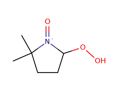 Molecular Structure of 55482-04-7 (1-Pyrrolidinyloxy, 5-hydroperoxy-2,2-dimethyl-)
