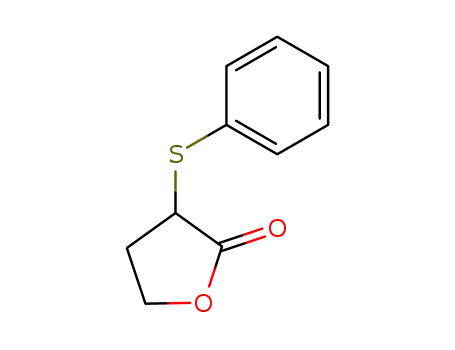 Molecular Structure of 35998-30-2 (2(3H)-Furanone, dihydro-3-(phenylthio)-)