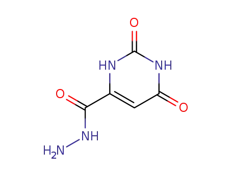 orotic acid hydrazide