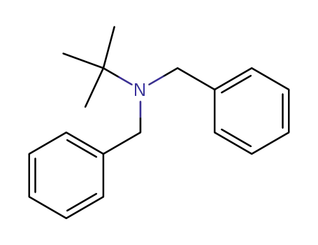 Molecular Structure of 30923-82-1 (N-tert-butyldibenzylamine)