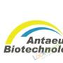 The company logo of Antaeus Bio-technology Co., LTD(expird)