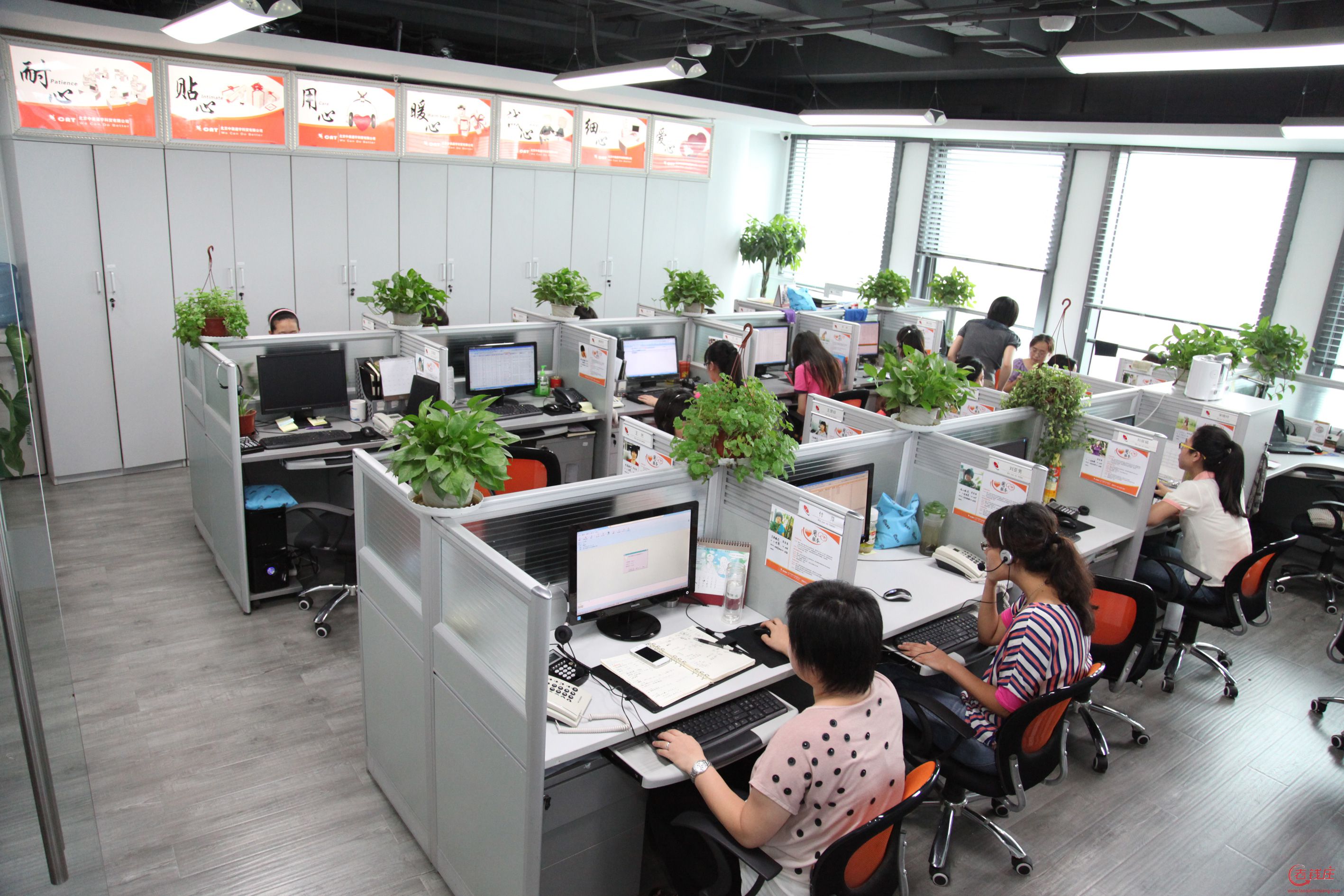 NEW LUNA PHARM CO.,LTD's promotional picture