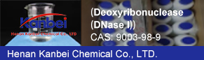 （Deoxyribonuclease（DNase I））