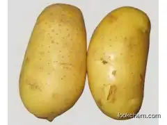 High quality Natural Potato extract