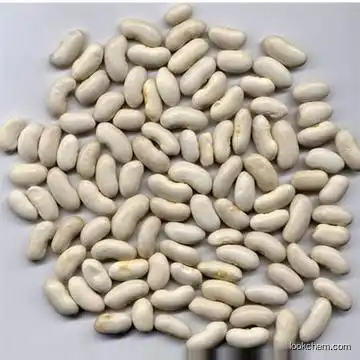 Kidney Bean Extract