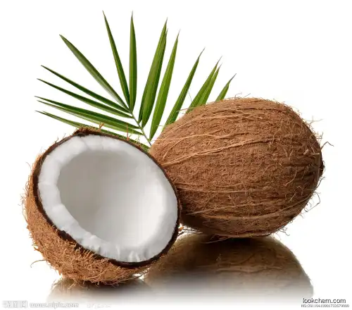 100% natural Coconut extract