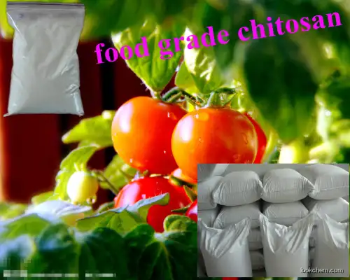 High Purity 9012-76-4 CHITOSAN factory /powder