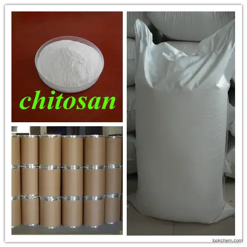 High Purity 9012-76-4 CHITOSAN factory /powder