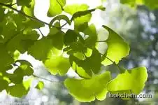 Ginkgo Biloba Leaf Extract(90045-36-6)