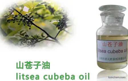 Pure Natural Litsea Cubeba Oil,oil of Litsea cubeba,Cas 68855-99-2